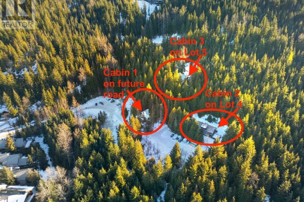 2501 Gondola Way, Whistler, BC, photo 3