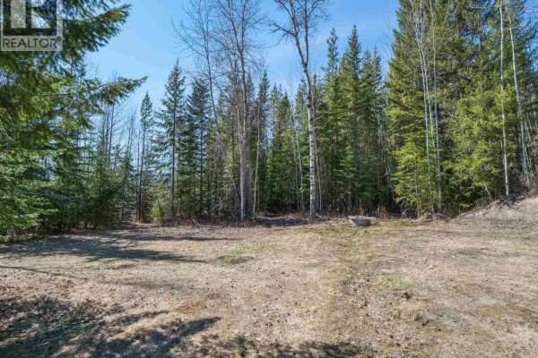 2512 Blackwater Road, Quesnel, BC V2J7H7 Photo 4