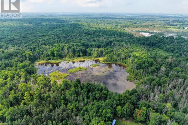 Aerial view of a small pond or wetland surrounded by lush green trees under a cloudy sky. - 2512 County Road 30 Road, North Glengarry