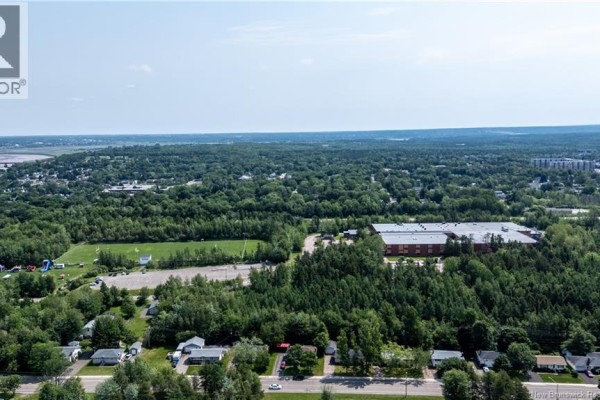 Aerial view of a suburban neighborhood with trees and a school. - 252 Buckingham Avenue, Riverview