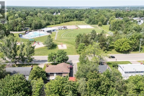 Aerial view of a neighborhood with a park, pool, and houses. - 252 Buckingham Avenue, Riverview