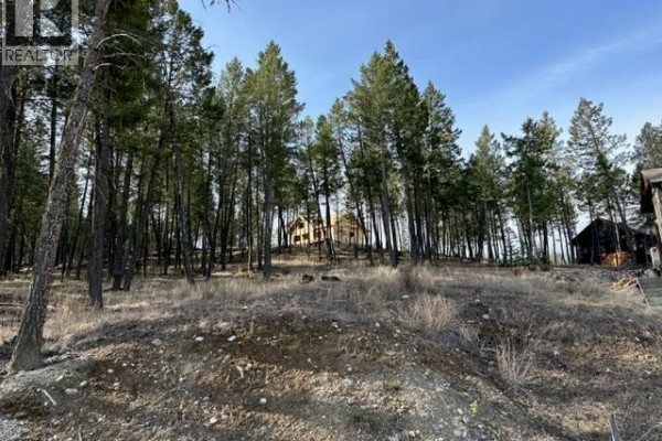 2520 Cobblestone Circle, Invermere, BC, photo 2