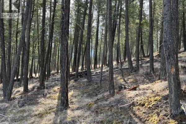 2520 Cobblestone Circle, Invermere, BC, photo 3