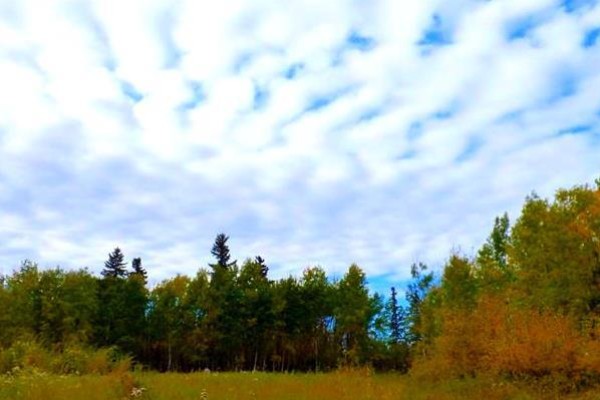 2520854, 1, 6, Lac La Biche, AB T0A2C0 Photo 3