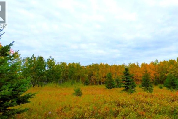 2520854, 1, 6, Lac La Biche, AB T0A2C0 Photo 4