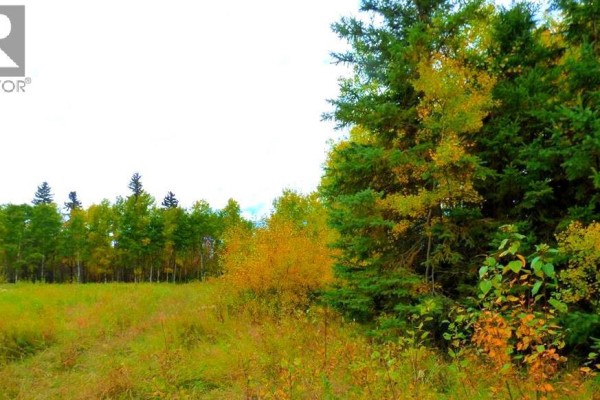2520854, 1, 6, Lac La Biche, AB T0A2C0 Photo 5