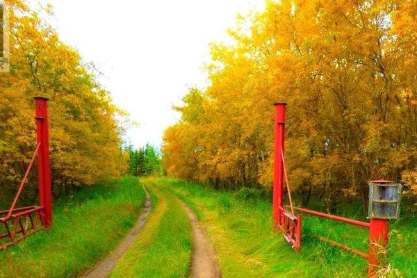 2520855, 1, 2, Lac La Biche, AB T0A2C0 Photo 4