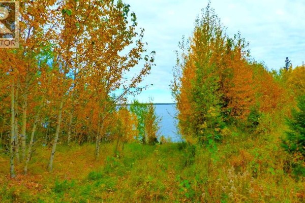 2520855, 1, 2, Lac La Biche, AB T0A2C0 Photo 5