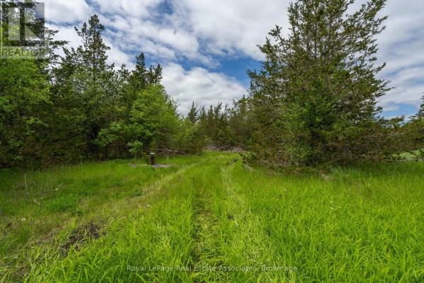 2523 County Rd 15 Road, Prince Edward County, ON K0K1W0 Photo 4