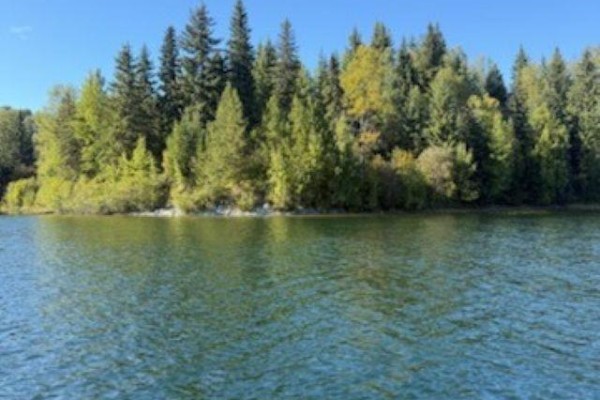 The treeline is composed of evergreen and deciduous trees in various shades of green and yellow. - 25260 N Ness Lake Road, Prince George