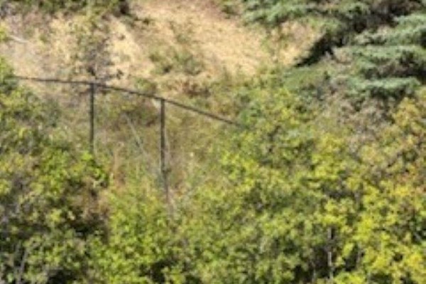A chain-link fence runs horizontally through dense green foliage and trees. - 25260 N Ness Lake Road, Prince George