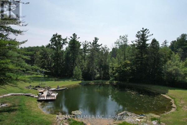 253 Morning Side Road, East Gwillimbury, ON, photo 3