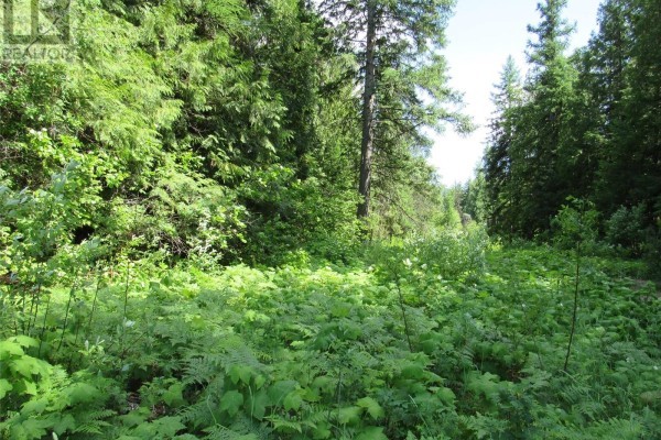 2532 10th Avenue Unit# Parcel A, Castlegar, BC, photo 2