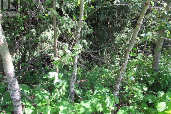 2532 10th Avenue Unit# Parcel A, Castlegar, BC, photo 3