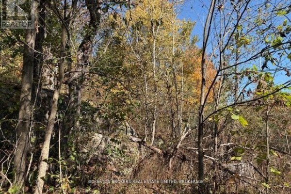 254 Briar Hill Road, Leeds And The Thousand Islands, ON, photo 3