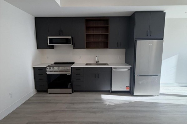 Close-up of a dark gray kitchen with white countertops, stainless steel stove, dishwasher, and refrigerator. - 254 Ellis Avenue, St  Catharines