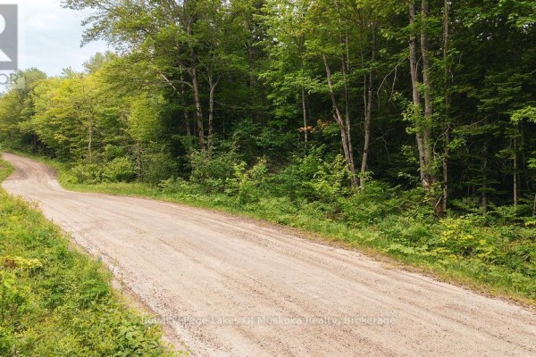 254 Expressway Road, Perry, ON P0A1J0 Photo 2