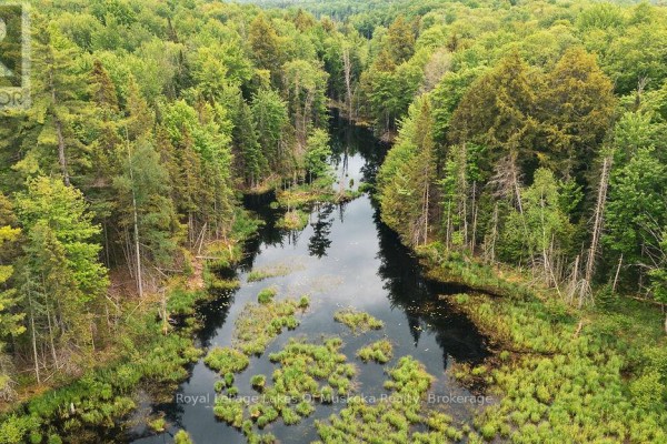 254 Expressway Road, Perry, ON P0A1J0 Photo 3