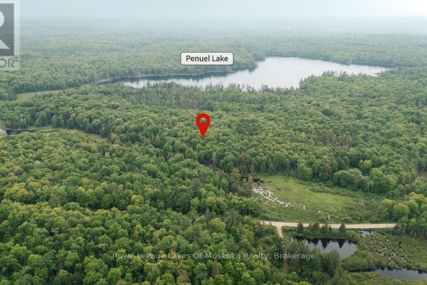 254 Expressway Road, Perry, ON P0A1J0 Photo 4