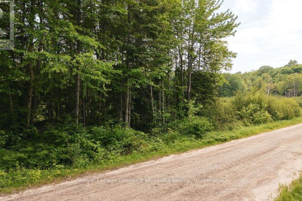 254 Expressway Road, Perry, ON P0A1J0 Photo 5