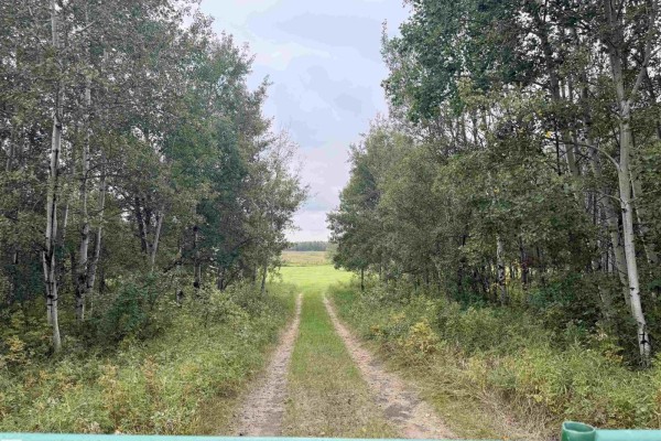 254064 Twp Road 454, Rural Wetaskiwin County, AB, photo 2