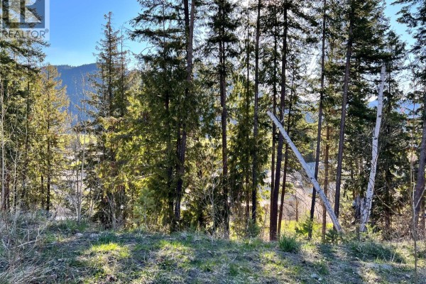 2541 Cedar Ridge Court, Lumby, BC, photo 2