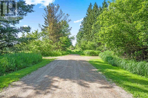 254588 Ninth Line, Amaranth, ON L0N1G0 Photo 4