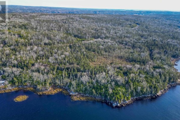255 Shad Point Parkway, Blind Bay, NS B3Z4C1 Photo 4