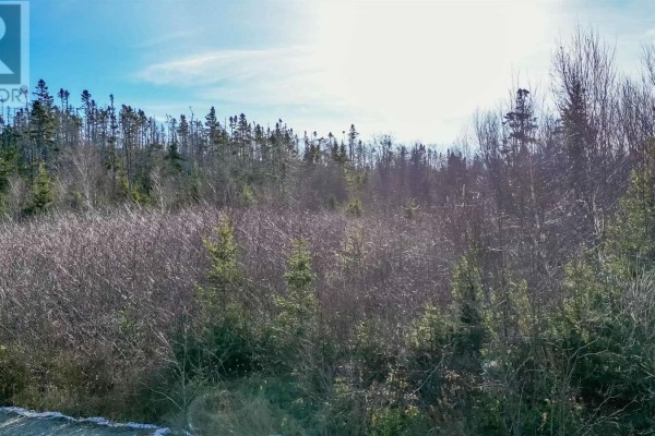 255 Shad Point Parkway, Blind Bay, NS B3Z4C1 Photo 5
