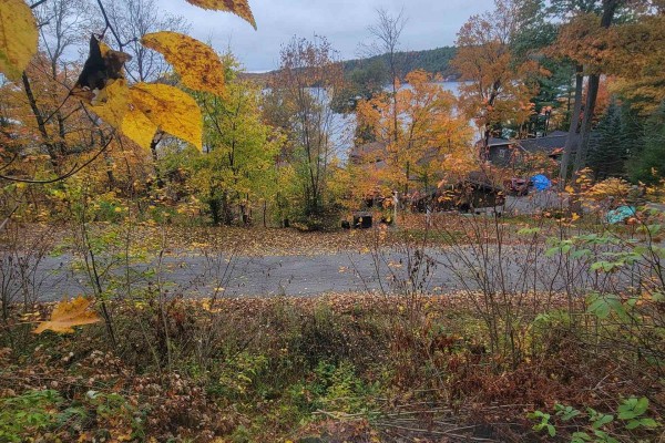 255 Westpoint Sands Road, Huntsville, ON P1H2J3 Photo 3