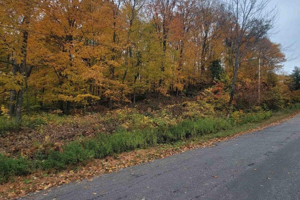 255 Westpoint Sands Road, Huntsville, ON P1H2J3 Photo 4