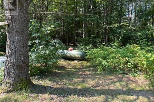 Other - 2551 Yearley Road, Huntsville, ON P0B1L0 Photo 4