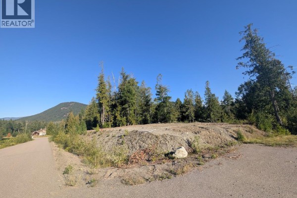 256 Dorothy Road Lot# 1, Lumby, BC, photo 3