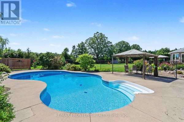 Curving swimming pool with wide steps and a concrete deck, surrounded by green trees and lawn. - 256 Orchard Crescent, Tay Valley