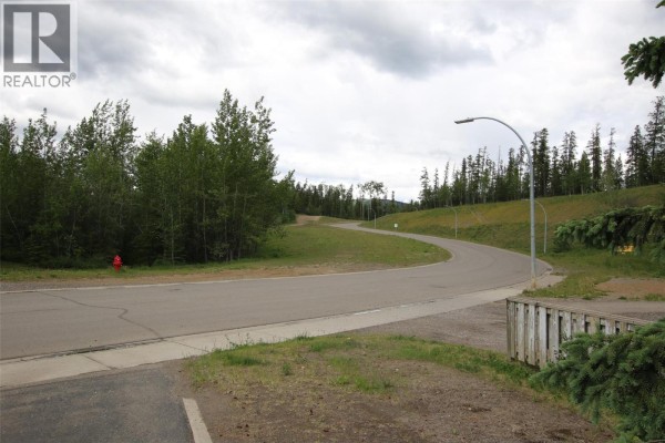 Full bathroom - 256 Spieker Avenue, Tumbler Ridge, BC V0C2W0 Photo 4