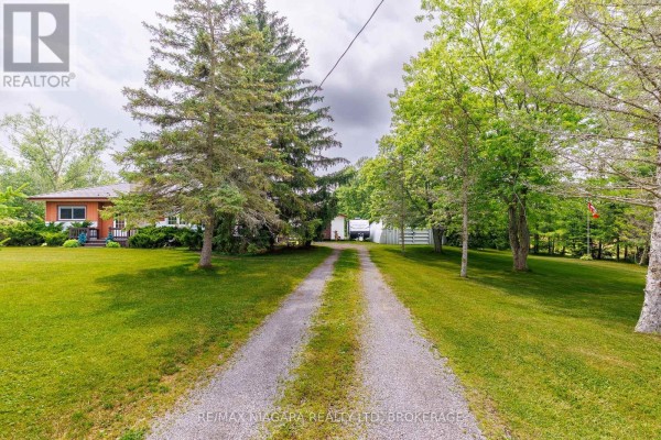 Gravel driveway leading towards a house and outbuildings, flanked by trees. - 2561 Point Abino Road N, Fort Erie