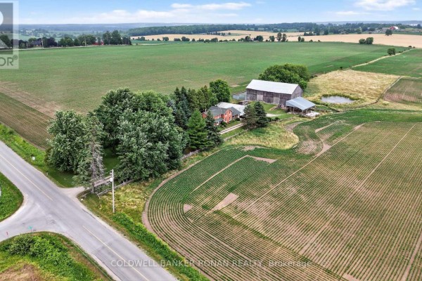 2577 Adjala-tecumseth Townline, New Tecumseth, ON L0G1W0 Photo 5
