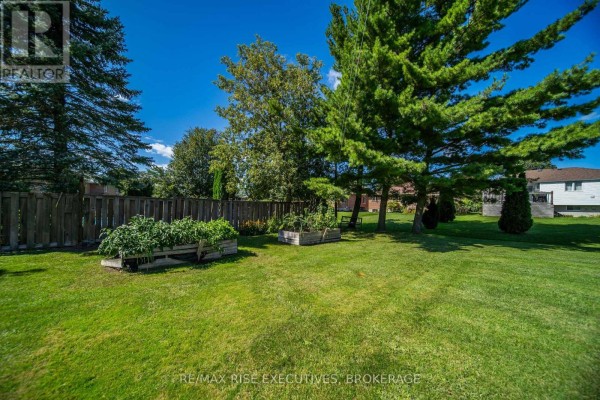 258 Palmer Road, Belleville, ON K8N4Z2 Photo 4