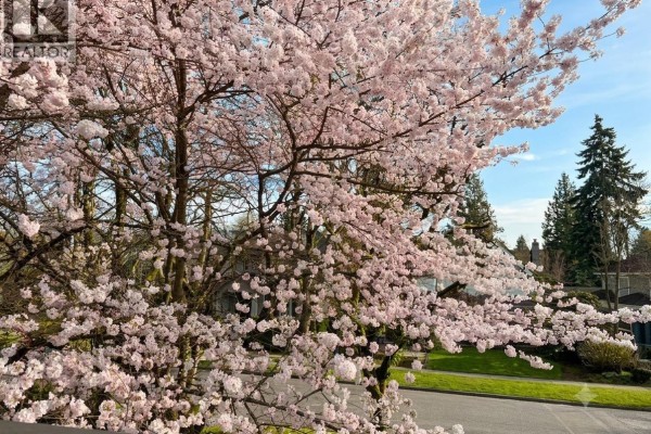 2599 W 36th Avenue, Vancouver, BC V6N2P6 Photo 3