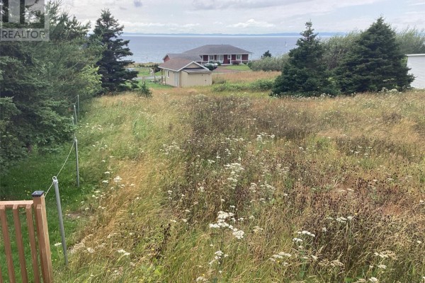 259a Main Road, Heart S Delight Islington, NL A0B2B0 Photo 3