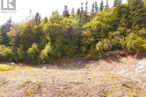 259a Main Street, King S Point, NL A0J1H0 Photo 2