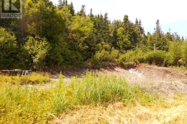 259a Main Street, King S Point, NL A0J1H0 Photo 3