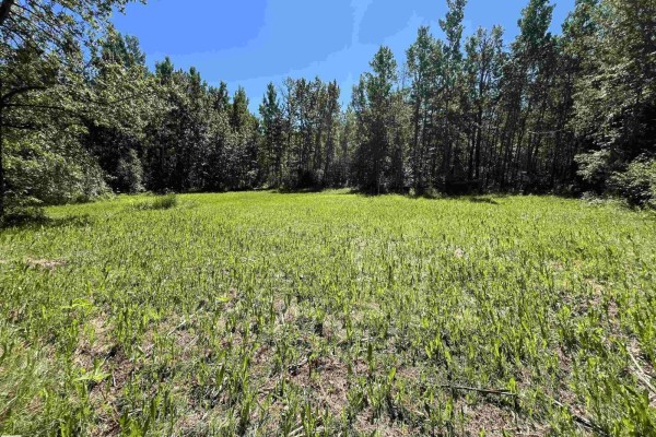 #26 54104 Rge Rd 35, Rural Lac Ste  Anne County, AB T0E0A1 Photo 5