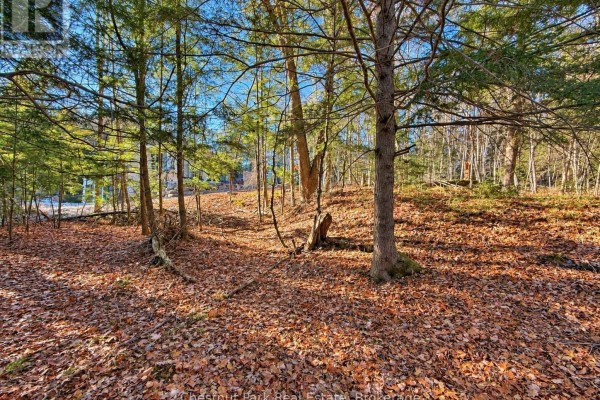 26 Blair Point Road, Seguin, ON P0C1J0 Photo 4