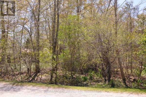 26 Cameron Street, Bluewater, ON N0M1G0 Photo 5