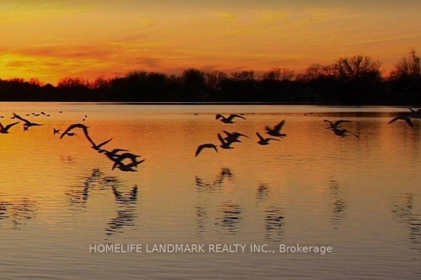 26 Capelle Street, Richmond Hill, ON L4E3E1 Photo 2