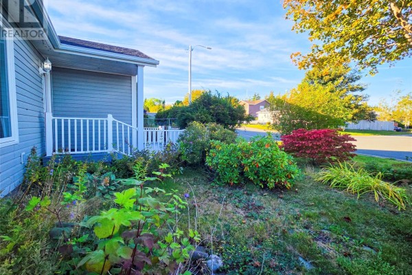 Recreation room - 26 Forest Road, Marystown, NL A0E2M0 Photo 4