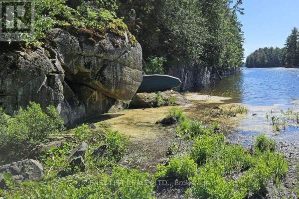 26 Fox Farm Road, Mckellar, ON P0G1C0 Photo 4