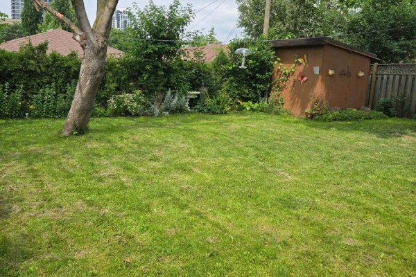 26 Nipissing Drive, Toronto, ON, photo 3