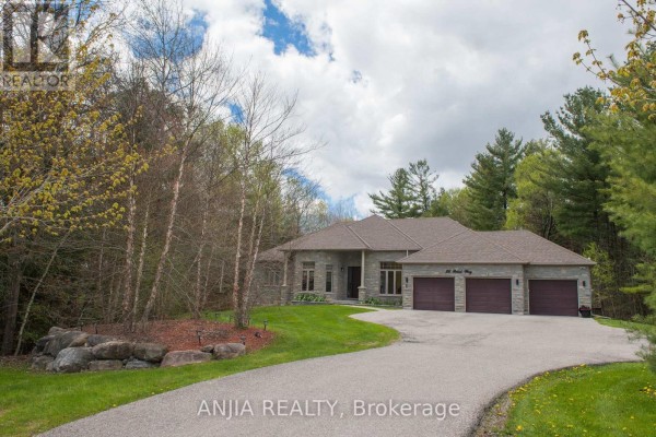 Games room - 26 Pelosi Way, East Gwillimbury, ON L0G1M0 Photo 3